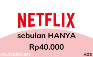 harga netflix